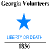 Georgia Volunteers Flag
